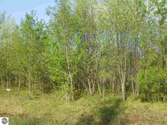 LOT 30 SPRING VALLEY DRIVE, CADILLAC, MI 49601, photo 3 of 27