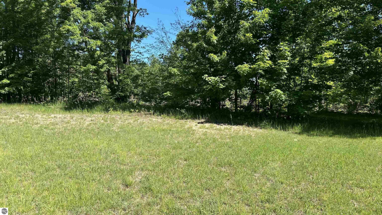 120 KLEEHAMMER CLUB DR NE, KALKASKA, MI 49646 Vacant Land For Sale ...