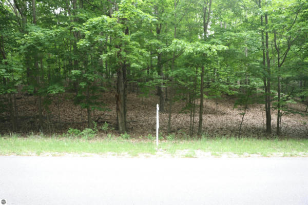 LOT 20 CRYSTAL VIEW COMMONS, BEULAH, MI 49617 - Image 1