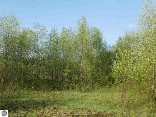 LOT 3 SPRING VALLEY DRIVE, CADILLAC, MI 49601, photo 4 of 22