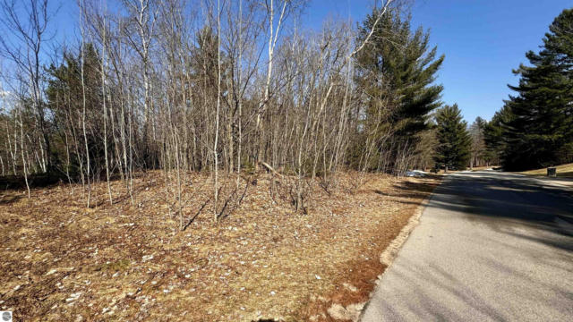 LOT 30 WHITE PINE DRIVE, CADILLAC, MI 49601, photo 4 of 9