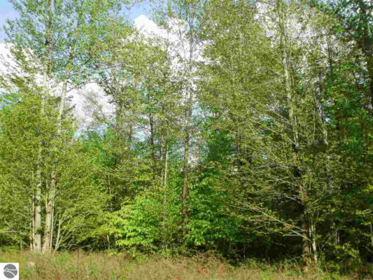 LOT 40 SPRING VALLEY DRIVE, CADILLAC, MI 49601, photo 4 of 30