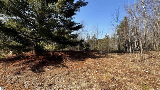 LOT 30 WHITE PINE DRIVE, CADILLAC, MI 49601, photo 2 of 9