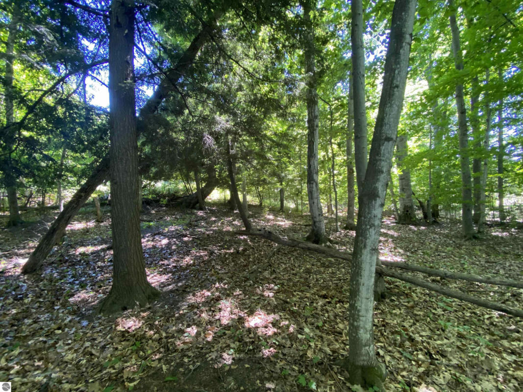 LOT 9 S CLUB DRIVE, CEDAR, MI 49621, photo 1 of 17