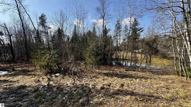 LOT 30 WHITE PINE DRIVE, CADILLAC, MI 49601, photo 5 of 9