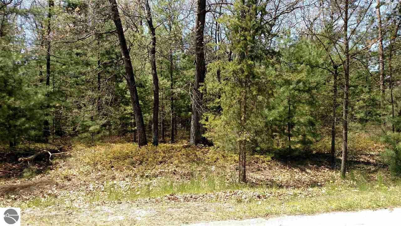 N/A GOLFVIEW COURT, AU GRES, MI 48703, photo 1 of 6