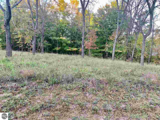LOT 183 TROON SOUTH, BELLAIRE, MI 49615, photo 3 of 12