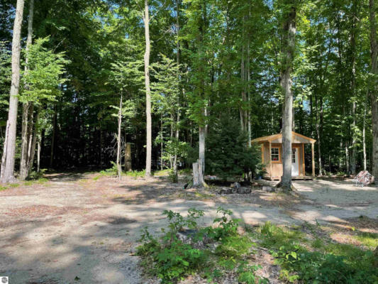 10237 BETSIE CREEK DR, INTERLOCHEN, MI 49643 - Image 1