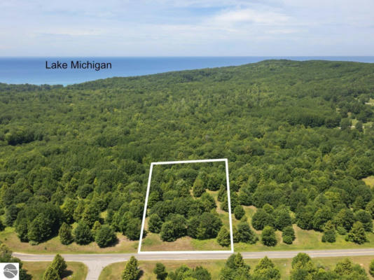 V/L SMITH ROAD, ONEKAMA, MI 49616 - Image 1