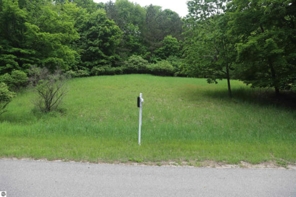 LOT 17 CRYSTAL VIEW COMMONS, BEULAH, MI 49617 - Image 1