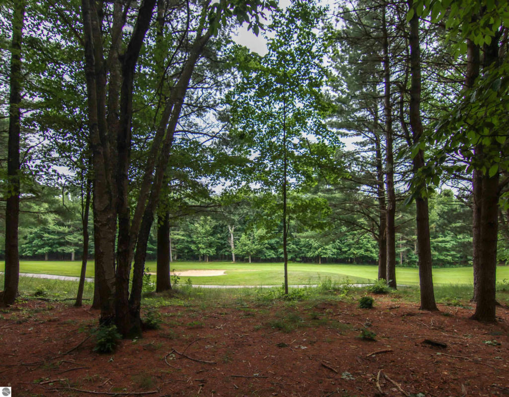 0000-UNIT 40 TRAILSIDE DRIVE, THOMPSONVILLE, MI 49683, photo 1 of 18