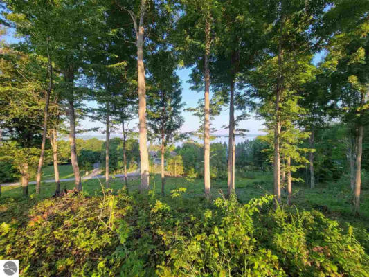 LOT 2 TORCH HILLS LANE, RAPID CITY, MI 49676, photo 2 of 12